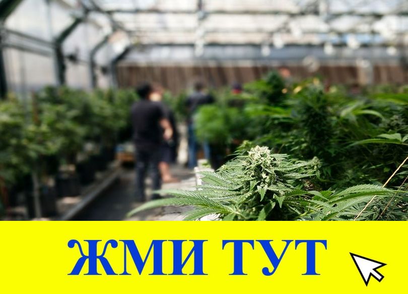 Купить наркотики в Темрюке